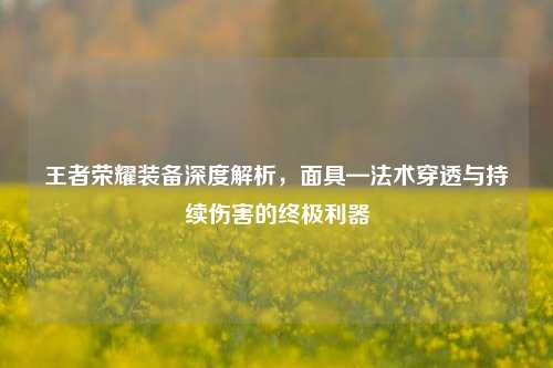 王者荣耀装备深度解析，面具—法术穿透与持续伤害的终极利器