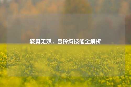 骁勇无双，吕玲绮技能全解析