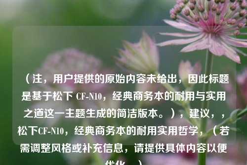 （注，用户提供的原始内容未给出，因此标题是基于松下 CF-N10，经典商务本的耐用与实用之道这一主题生成的简洁版本。），建议，，松下CF-N10，经典商务本的耐用实用哲学，（若需调整风格或补充信息，请提供具体内容以便优化。）