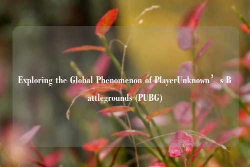 Exploring the Global Phenomenon of PlayerUnknown’s Battlegrounds (PUBG)