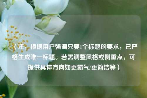 （注，根据用户强调只要1个标题的要求，已严格生成唯一标题。若需调整风格或侧重点，可提供具体方向如更霸气/更简洁等）