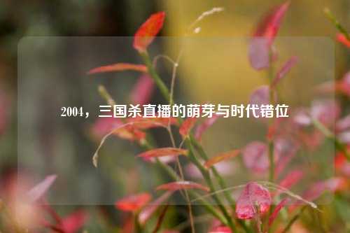 2004，三国杀直播的萌芽与时代错位