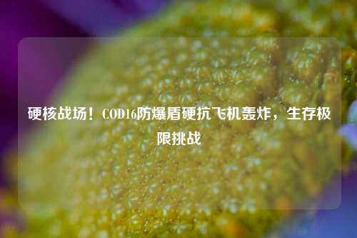 硬核战场！COD16防爆盾硬抗飞机轰炸，生存极限挑战