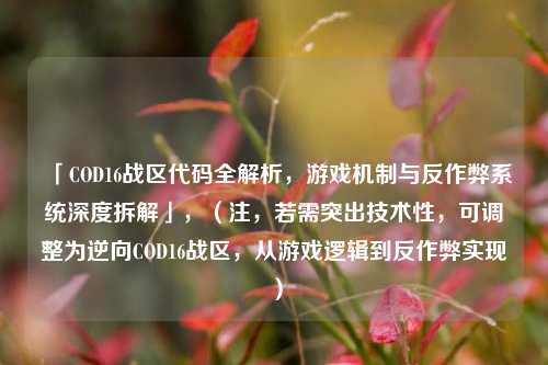 「COD16战区代码全解析，游戏机制与反作弊系统深度拆解」，（注，若需突出技术性，可调整为逆向COD16战区，从游戏逻辑到反作弊实现）