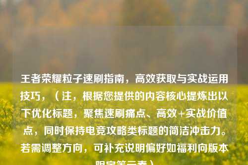 王者荣耀粒子速刷指南，高效获取与实战运用技巧，（注，根据您提供的内容核心提炼出以下优化标题，聚焦速刷痛点、高效+实战价值点，同时保持电竞攻略类标题的简洁冲击力。若需调整方向，可补充说明偏好如福利向版本限定等元素）
