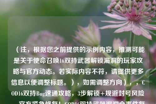 （注，根据您之前提供的示例内容，推测可能是关于使命召唤16双持武器解锁漏洞的玩家攻略与官方动态。若实际内容不符，请提供更多信息以便调整标题。），如需调整方向），，COD16双持Bug速通攻略，3步解锁+规避封号风险，官方紧急修复！COD16双持武器漏洞全事件复盘，双持武器提前解锁？COD16漏洞利用实测报告