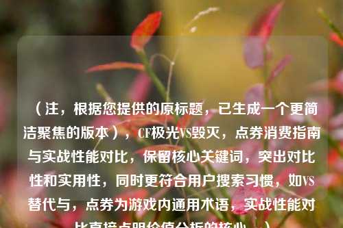 （注，根据您提供的原标题，已生成一个更简洁聚焦的版本），CF极光VS毁灭，点券消费指南与实战性能对比，保留核心关键词，突出对比性和实用性，同时更符合用户搜索习惯，如VS替代与，点券为游戏内通用术语，实战性能对比直接点明价值分析的核心。）