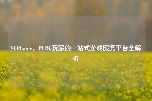 VGPGame，PUBG玩家的一站式游戏服务平台全解析