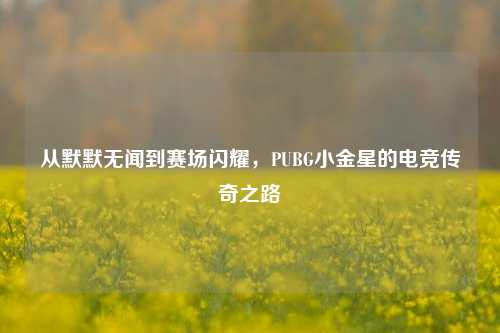 从默默无闻到赛场闪耀，PUBG小金星的电竞传奇之路