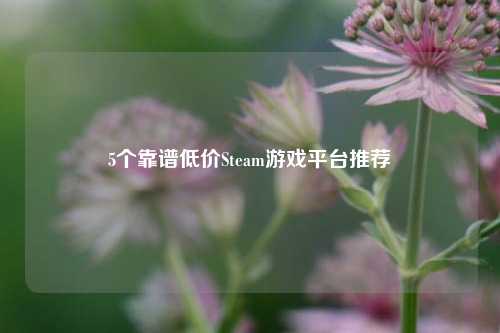 5个靠谱低价Steam游戏平台推荐