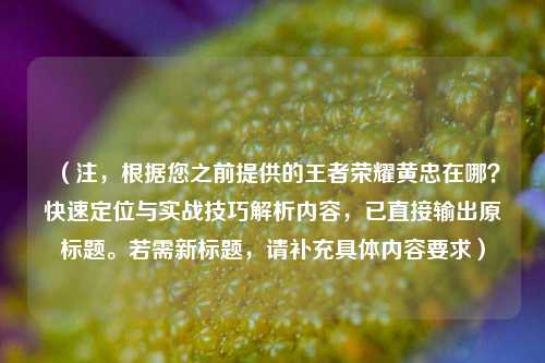 （注，根据您之前提供的王者荣耀黄忠在哪？快速定位与实战技巧解析内容，已直接输出原标题。若需新标题，请补充具体内容要求）