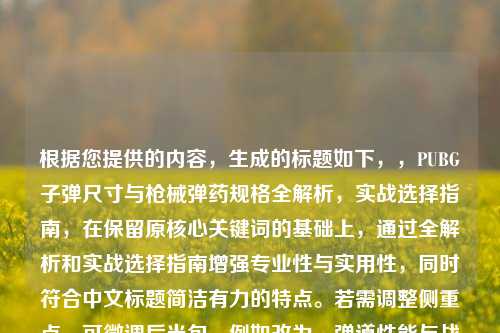 根据您提供的内容，生成的标题如下，，PUBG子弹尺寸与枪械弹药规格全解析，实战选择指南，在保留原核心关键词的基础上，通过全解析和实战选择指南增强专业性与实用性，同时符合中文标题简洁有力的特点。若需调整侧重点，可微调后半句，例如改为，弹道性能与战术影响等变体。）