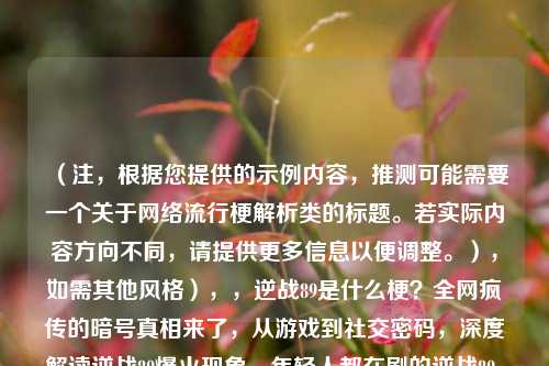 （注，根据您提供的示例内容，推测可能需要一个关于网络流行梗解析类的标题。若实际内容方向不同，请提供更多信息以便调整。），如需其他风格），，逆战89是什么梗？全网疯传的暗号真相来了，从游戏到社交密码，深度解读逆战89爆火现象，年轻人都在刷的逆战89，这个数字暗藏什么玄机？