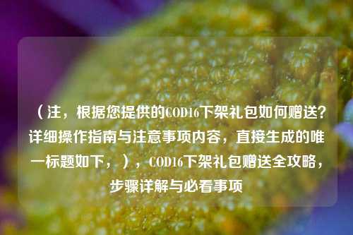 （注，根据您提供的COD16下架礼包如何赠送？详细操作指南与注意事项内容，直接生成的唯一标题如下，），COD16下架礼包赠送全攻略，步骤详解与必看事项