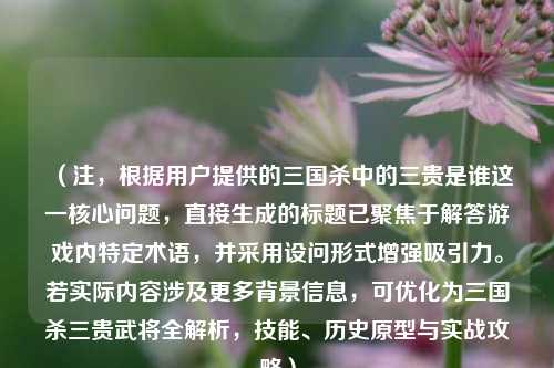 （注，根据用户提供的三国杀中的三贵是谁这一核心问题，直接生成的标题已聚焦于解答游戏内特定术语，并采用设问形式增强吸引力。若实际内容涉及更多背景信息，可优化为三国杀三贵武将全解析，技能、历史原型与实战攻略）