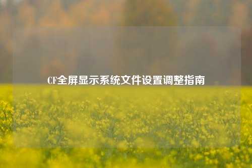 CF全屏显示系统文件设置调整指南