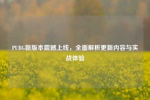 PUBG新版本震撼上线，全面解析更新内容与实战体验