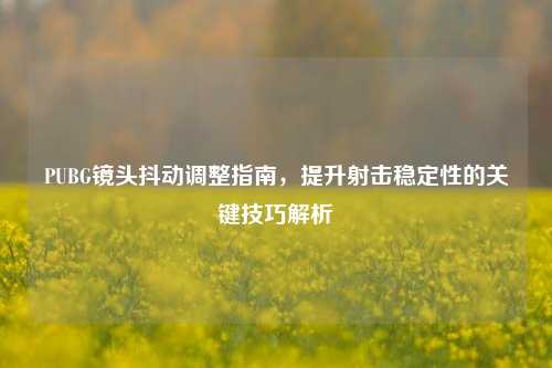 PUBG镜头抖动调整指南，提升射击稳定性的关键技巧解析