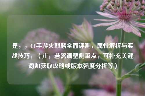 是，，CF手游火麒麟全面评测，属性解析与实战技巧，（注，若需调整侧重点，可补充关键词如获取攻略或版本强度分析等）