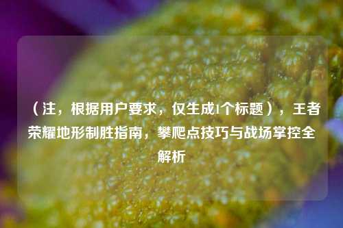 （注，根据用户要求，仅生成1个标题），王者荣耀地形制胜指南，攀爬点技巧与战场掌控全解析