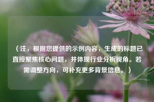 （注，根据您提供的示例内容，生成的标题已直接聚焦核心问题，并体现行业分析视角。若需调整方向，可补充更多背景信息。）