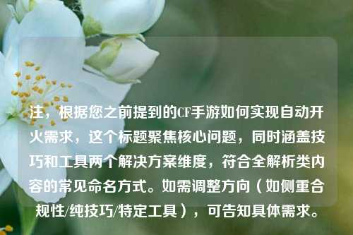 注，根据您之前提到的CF手游如何实现自动开火需求，这个标题聚焦核心问题，同时涵盖技巧和工具两个解决方案维度，符合全解析类内容的常见命名方式。如需调整方向（如侧重合规性/纯技巧/特定工具），可告知具体需求。