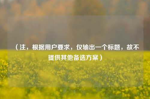 （注，根据用户要求，仅输出一个标题，故不提供其他备选方案）
