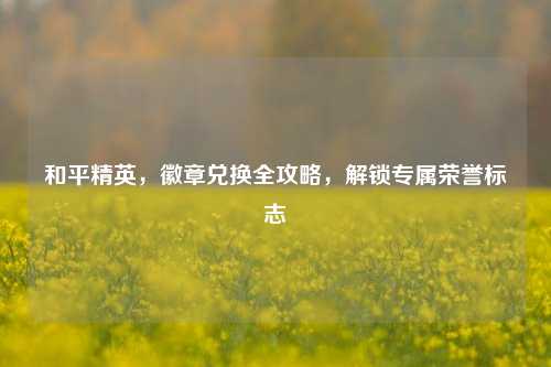 和平精英，徽章兑换全攻略，解锁专属荣誉标志