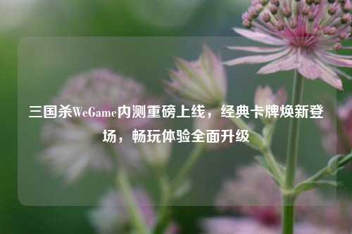 三国杀WeGame内测重磅上线，经典卡牌焕新登场，畅玩体验全面升级