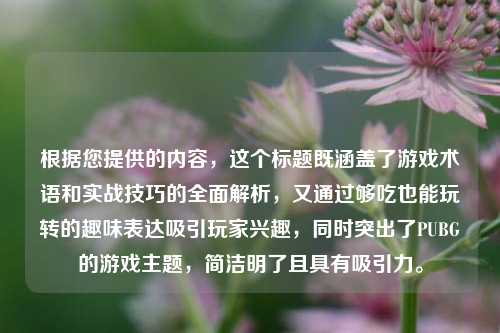 根据您提供的内容，这个标题既涵盖了游戏术语和实战技巧的全面解析，又通过够吃也能玩转的趣味表达吸引玩家兴趣，同时突出了PUBG的游戏主题，简洁明了且具有吸引力。