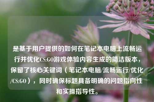 是基于用户提供的如何在笔记本电脑上流畅运行并优化CS:GO游戏体验内容生成的简洁版本，保留了核心关键词（笔记本电脑/流畅运行/优化/CS:GO），同时确保标题具备明确的问题指向性和实操指导性。