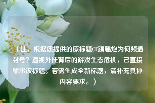 （注，根据您提供的原标题CF踢腿炮为何频遭封号？透视外挂背后的游戏生态危机，已直接输出该标题。若需生成全新标题，请补充具体内容要求。）