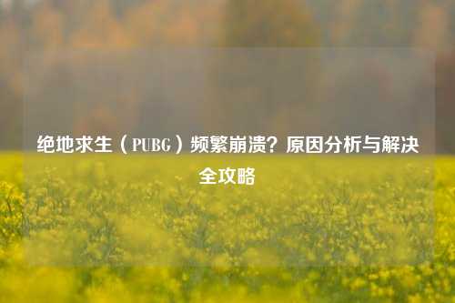 绝地求生（PUBG）频繁崩溃？原因分析与解决全攻略