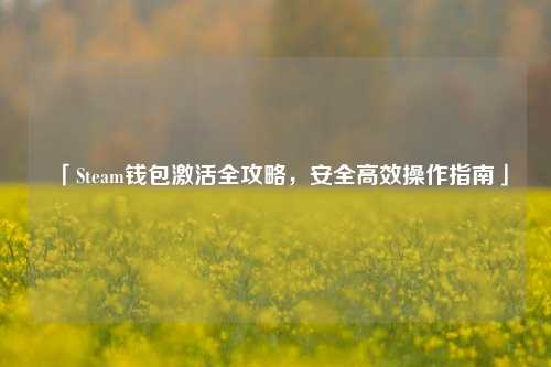 「Steam钱包激活全攻略，安全高效操作指南」