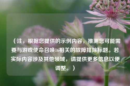 （注，根据您提供的示例内容，推测您可能需要与游戏使命召唤16相关的故障排除标题。若实际内容涉及其他领域，请提供更多信息以便调整。）