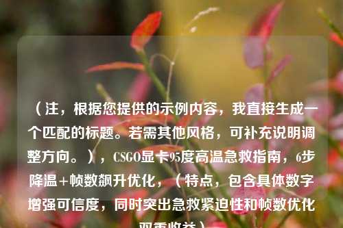 （注，根据您提供的示例内容，我直接生成一个匹配的标题。若需其他风格，可补充说明调整方向。），CSGO显卡95度高温急救指南，6步降温+帧数飙升优化，（特点，包含具体数字增强可信度，同时突出急救紧迫性和帧数优化双重收益）