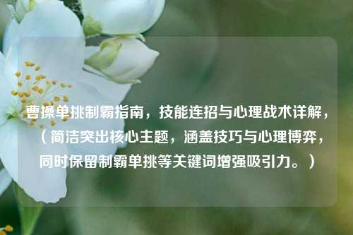 曹操单挑制霸指南，技能连招与心理战术详解，（简洁突出核心主题，涵盖技巧与心理博弈，同时保留制霸单挑等关键词增强吸引力。）