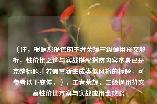 （注，根据您提供的王者荣耀三级通用符文解析，性价比之选与实战搭配指南内容本身已是完整标题，若需重新生成类似风格的标题，可参考以下变体，），王者荣耀，三级通用符文高性价比方案与实战应用全攻略