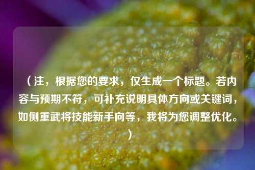 （注，根据您的要求，仅生成一个标题。若内容与预期不符，可补充说明具体方向或关键词，如侧重武将技能新手向等，我将为您调整优化。）