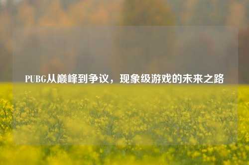 PUBG从巅峰到争议，现象级游戏的未来之路