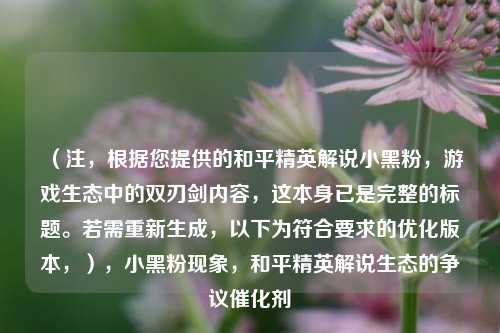 （注，根据您提供的和平精英解说小黑粉，游戏生态中的双刃剑内容，这本身已是完整的标题。若需重新生成，以下为符合要求的优化版本，），小黑粉现象，和平精英解说生态的争议催化剂
