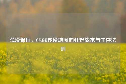 荒漠悍匪，CS:GO沙漠地图的狂野战术与生存法则