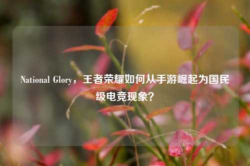 National Glory，王者荣耀如何从手游崛起为国民级电竞现象？