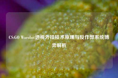 CS:GO Warobot透视外挂技术原理与反作弊系统博弈解析