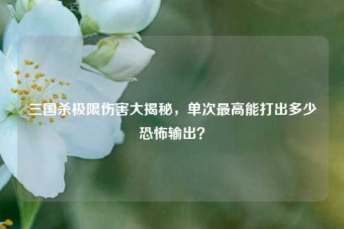 三国杀极限伤害大揭秘，单次最高能打出多少恐怖输出？