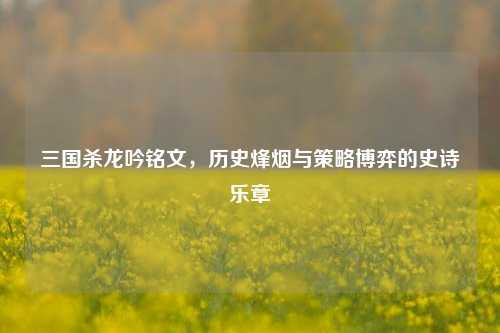 三国杀龙吟铭文，历史烽烟与策略博弈的史诗乐章