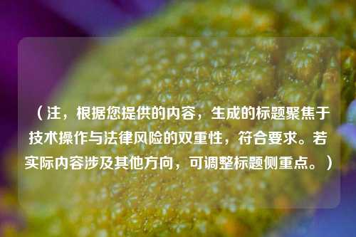 （注，根据您提供的内容，生成的标题聚焦于技术操作与法律风险的双重性，符合要求。若实际内容涉及其他方向，可调整标题侧重点。）