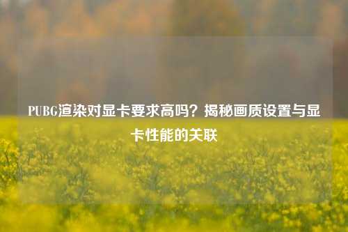 PUBG渲染对显卡要求高吗？揭秘画质设置与显卡性能的关联