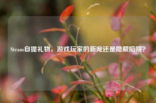 Steam自提礼物，游戏玩家的新宠还是隐藏陷阱？