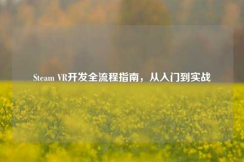 Steam VR开发全流程指南，从入门到实战